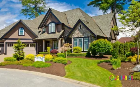 Upgrade Your Outdoor Space with Expert Turf and Lawn Services