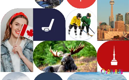 Effective Legal Representation for Sponsorship Disputes