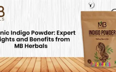 Organic Indigo Powder: Expert Insights and Benefits from MB Herbals
