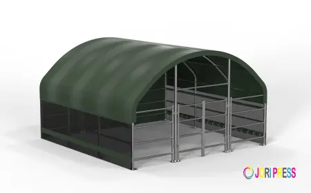 Ricovero Agricolo Chiuso 40x13x8ft – Edificio Agricolo Robusto per Bestiame