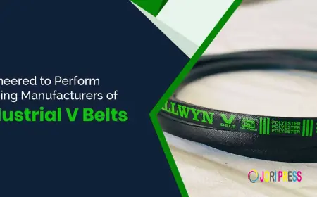 Kevlar Cord V Belt Manufacturers