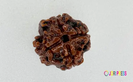Buy Natural 4 Mukhi Rudraksha Nepali Bead – Certified