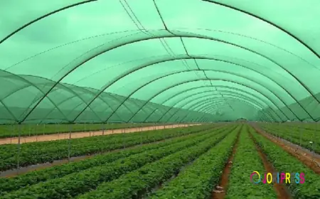 Agricultural textiles market forecast predicting growth trends and future opportunities worldwide