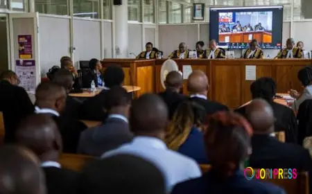 “How I Triumphed in a Tough Court Battle Against a Wealthy & Influential Man” — Peter Shares