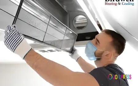 What Common Problems Do Ductless Mini-Split AC Repairing Services Address?