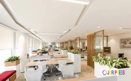 Top-Rated Office Interior Design Firms for Modern Workspaces