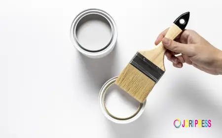 Transform Your Interiors with Stunning Wall Putty Design in Home