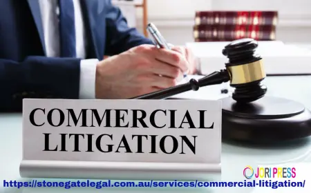 Difference between Commercial Litigation and Other Types of Litigation?