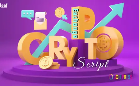 What Every Crypto Exchange Owner Should Do After Script Deployment