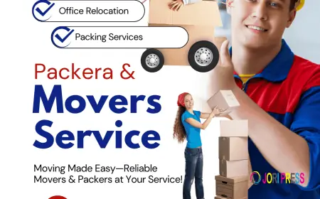 Who Are the Best Packers and Movers in Delhi for a Safe and Affordable Move?
