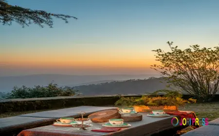 Discover Peace and Luxury: The Perfect Homestay in Binsar at Mary Budden Estate