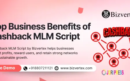 What are the business benefits of the Cashback MLM script?