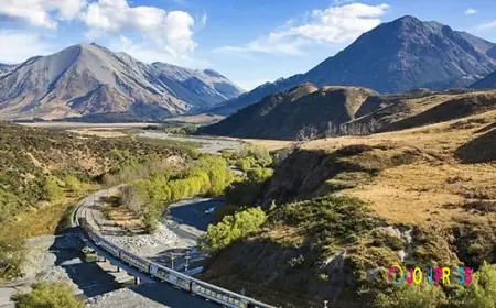 7 Essential Packing Tips for New Zealand Self Drive Holidays