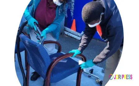 Upholstery cleaning northmead