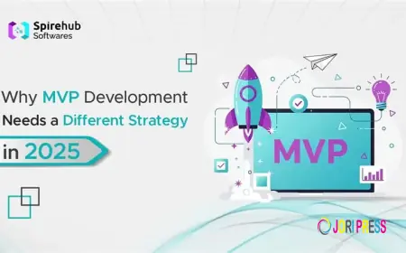 Why MVP Development Needs a Different Strategy in 2025, Spire Hub Software?