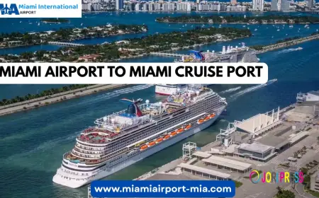 Ultimate Guide: Miami Airport to Miami Cruise Port Transportation & Costs