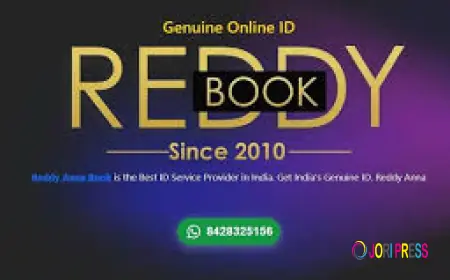 Reddy Anna WhatsApp Number – Trusted Online Cricket ID Support in India