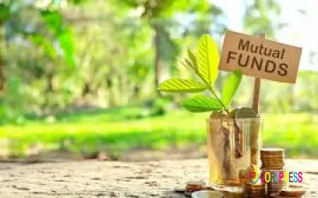 Mutual Fund Investment Return Calculator: Simplifying Investment Tracking