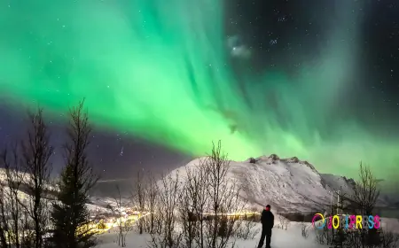 Finland Tour Packages with Aurora Treehouse Stay