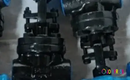 Valve Supplier in USA