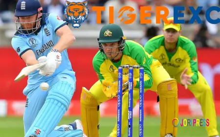 Tiger365.pro Official Site