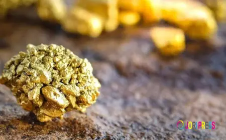 Insider Explains How He Helps Gold Traders Create Wealth Through Authentic Business Deals