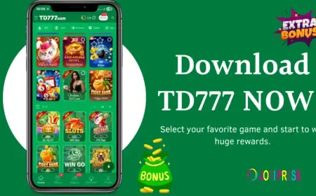 Castle App: The Complete Review of Pakistan’s Rising Streaming Platform