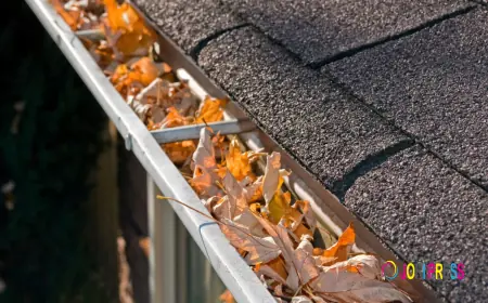 Top Tips for Cleaning and Maintaining Your Rainwater Gutter Pipes