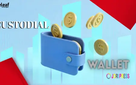 How Custodial Wallet Solutions Empower Investors with Safer Asset Management