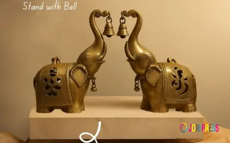 Home Décor Planters Bangalore – Redefining Green Spaces with Atbodhi’s 10+ Years of Expertise