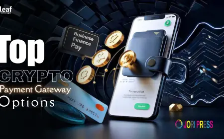 What Are the Top Crypto Payment Gateway Options for Converting Crypto to Fiat?