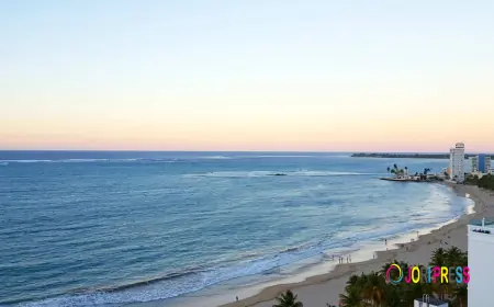 Condo Rentals in Puerto Rico – Stay in Comfort with Ocean Views
