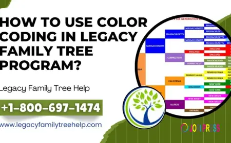 How To Use Color Coding In Legacy Family Tree Program?