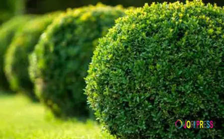 Cement Cubing Service in Salt Lake City with 28 years of experience