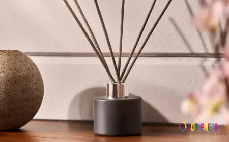 How to Choose the Perfect Reed Diffusers Room Spray for Every Room