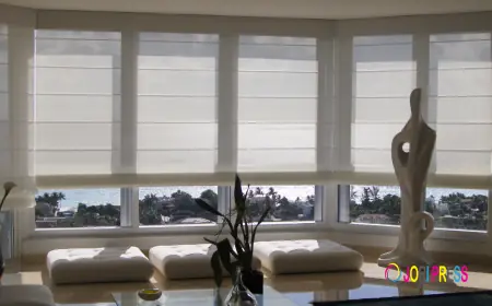 Purchase Varieties of Custom Window Solutions At An Affordable Price