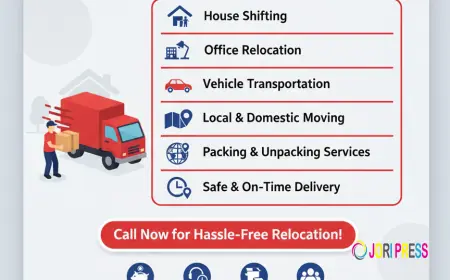 Who is the Professional and Best Packers and Movers in Noida & Greater Noida ?