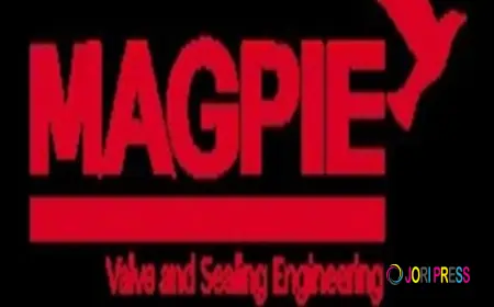 Magpie Valve Packing Gasket Co., Ltd