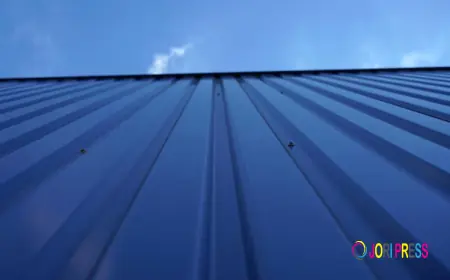 Metal Roof Replacement: Enhancing Protection and Performance with Metalguard