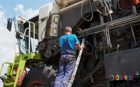 Allans Diesel: Smooth Rides Start with Quality Stocks and Struts