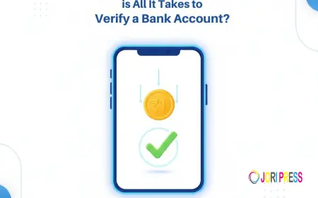 Understanding the Penny Drop Verification Meaning and Its API Integration by Meon
