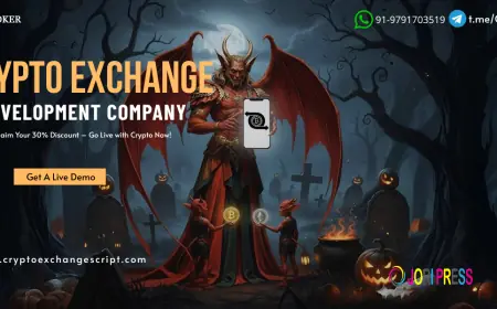 Your Exchange’s Success Story Begins with the Right Development Company