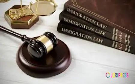 Why Hiring Immigration Lawyers in Toronto Can Make All the Difference