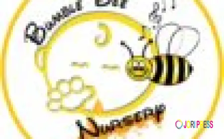 Bumble Bee Nursery – A Trusted Nursery in Sharjah Nurturing Young Minds with Love and Learning