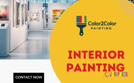 Color2Color Painting Pty Ltd: Melbourne’s Expert for Interior House Painting