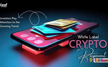 Why Should Investors Pay Attention to the Growing Trend of White-Label Crypto Gateways?