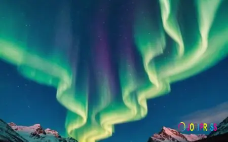 How to Choose the Right Aurora Viewing Tours Yellowknife: A Checklist