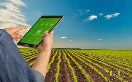 Streamline Livestock and Dairy Farm Management with Smart Solutions