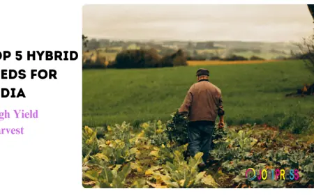 Top 5 Hybrid Seeds for India | High Yield Harvest