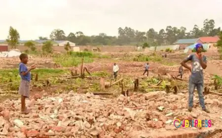 The Untold Secret to Winning Land Disputes Finally Exposed – You Need to Read This